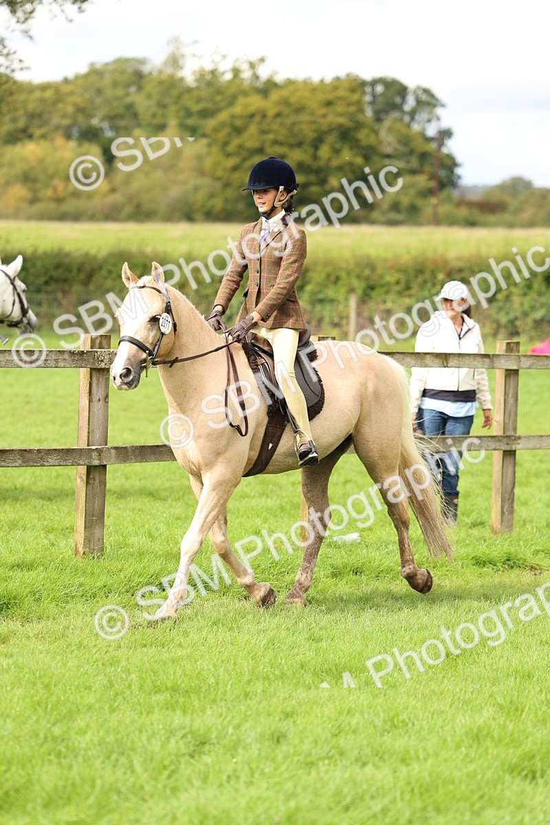 SBM_45378 - S33 - Working Hunter Pony