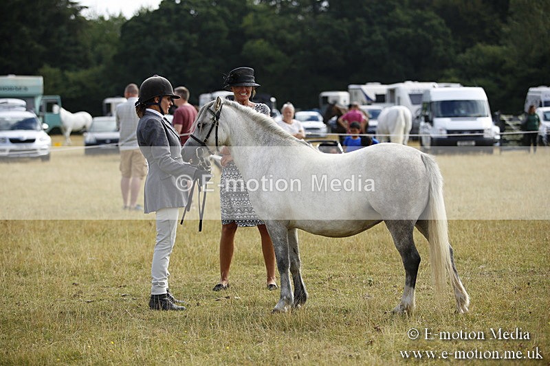 _C7A9243 - BVRC Sow 2018 Ring 2