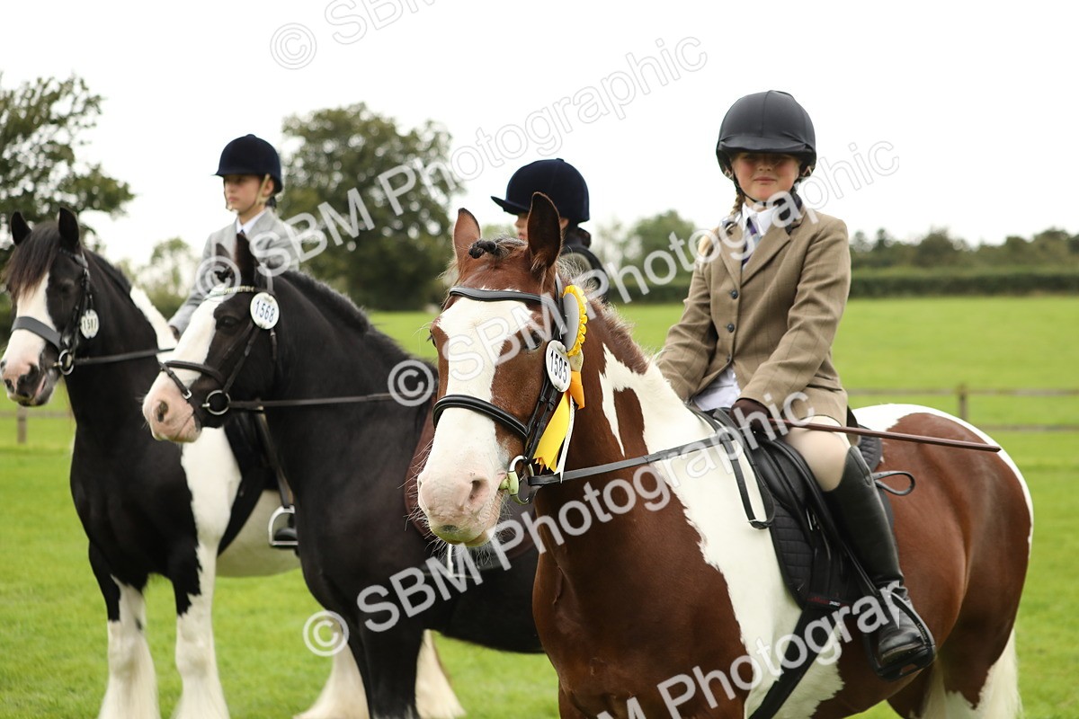 SBM_71442 - S41 - Ridden Equitation (Best Rider)