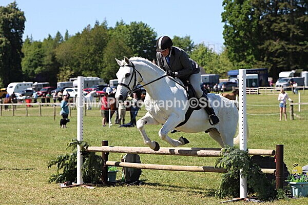 IMG_3991 - Working Hunter