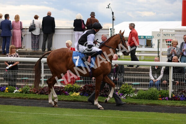 yr22052022r1-10 - Race 1: 3:30pm Sky Bet Sunday Series Apprentice Stakes