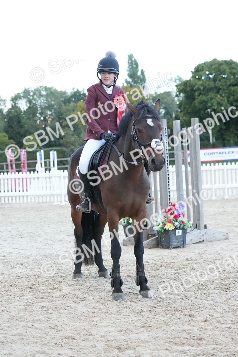 SBM_54252 - Supreme Championship 60cm 65cm