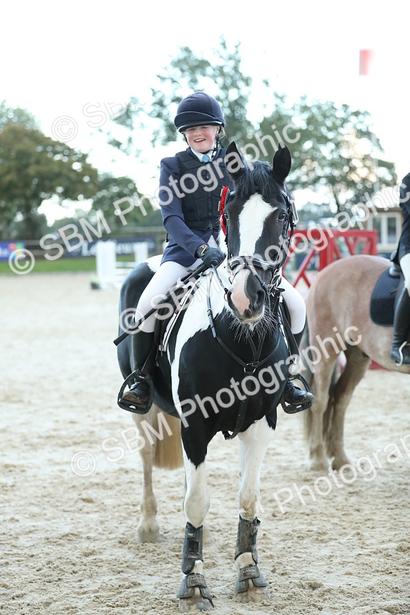 SBM_53773 - Supreme Championship 65cm 70cm