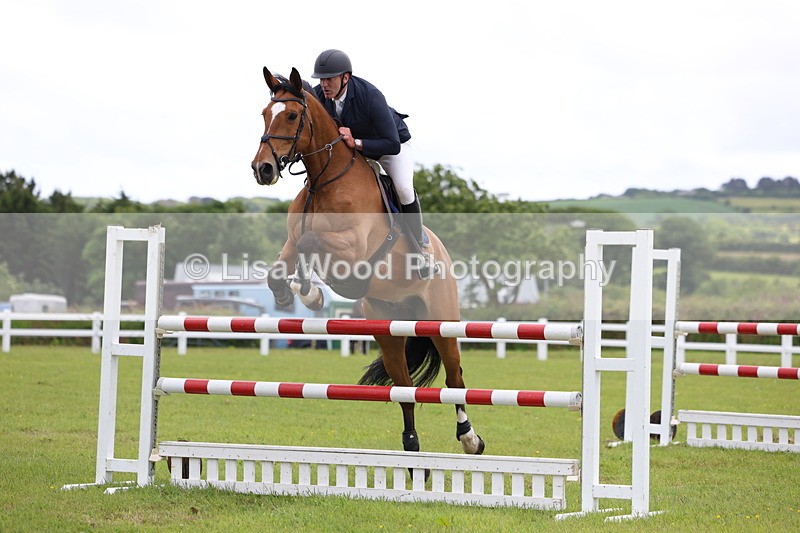 3E7A7053 - Class 12: Senior Foxhunter/1.20 open