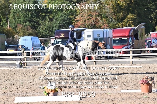 BPP_8959 - SHORT ARENA