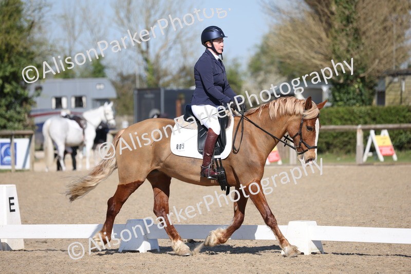 20250405-0268 - Class 11 - My Quest Novice 3