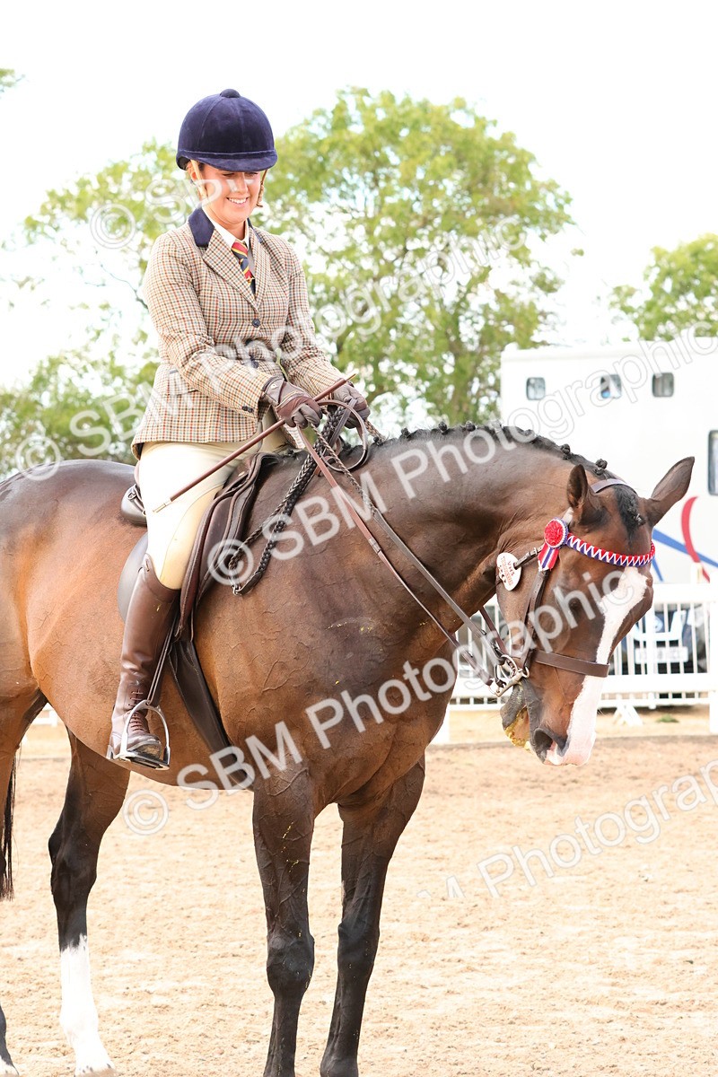 SBM_16253 - Class 217 - Ridden Retired Racehorse
