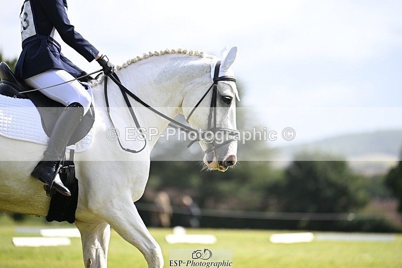 240824X-111845-25821 - D80 Section E and F 11.00 to 12.00