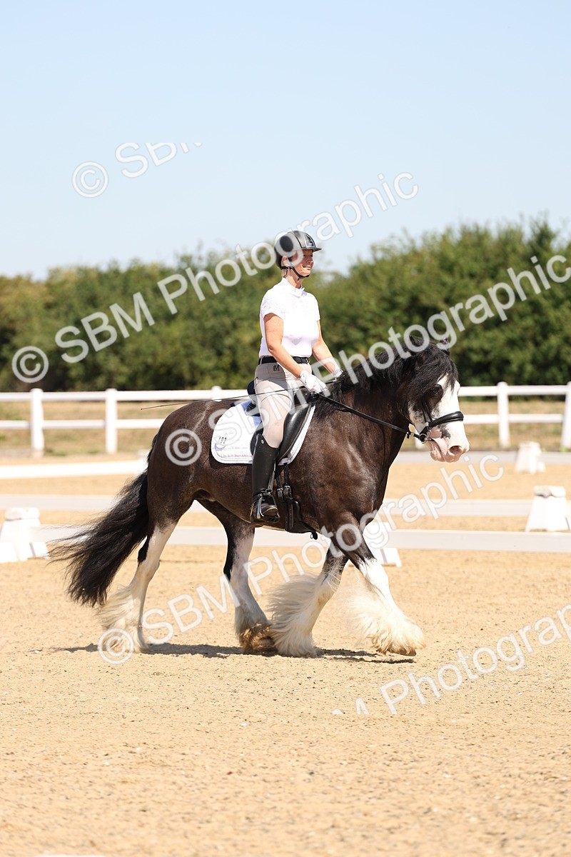 SBM_001193 - Intro 2
