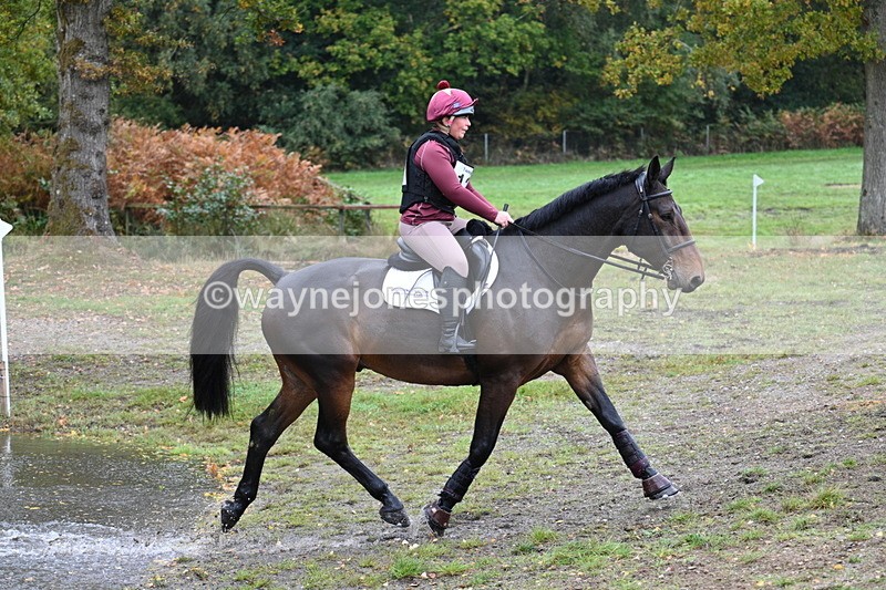 WJ7_3345 - Time 11:13 to 11:32