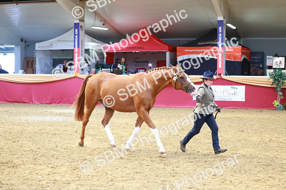 SBM_04137 - Class 9R - IH Pre-Vet