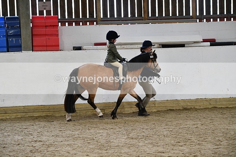 WJ5_6563 - Class 10 Childs Pony