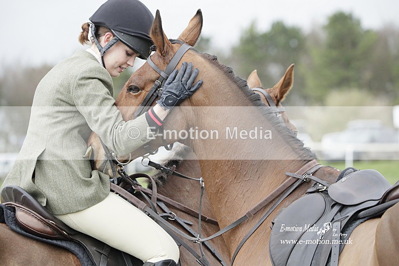 PtP 260323 0650 - New Forest Hounds Point-to-Point Larkhill 26/03/23