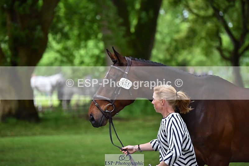 240522-170152-01336 - 274-JACK_OF_CLUBS-Rosalind_Canter