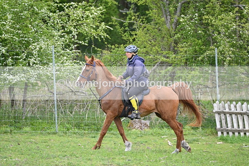 WJ6_3231 - A camera