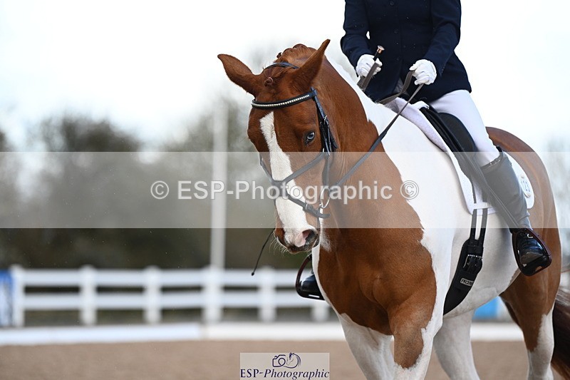 240323A-110700-02522 - DR Novice 24