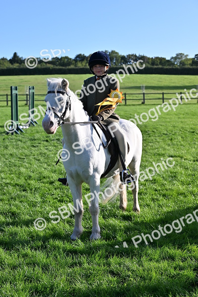 SBM_53083 - S23 - First Ridden Mountain & Moorland Pony