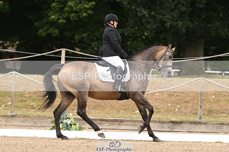 250719A-104311-03985 - 127-Jocelyn.Gilmore-Spring.Lily