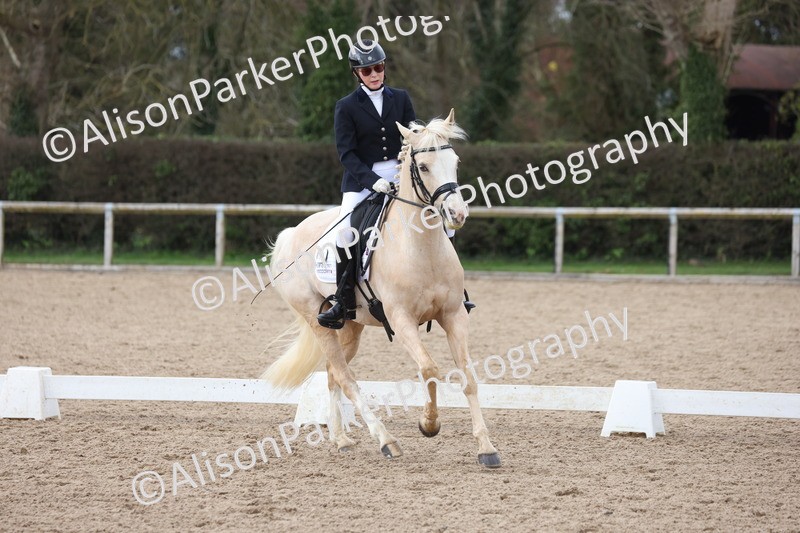 20260301-0479 - Class 3 - Novice 4