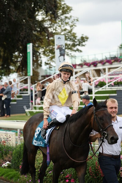 yr04092022r7-38 - Race 7 5.15pm Firmament Stakes