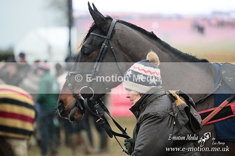 PtP 260125 800 - Cocklebarrow Point-to-Point racing with the Heythrop Hunt 26/01/25