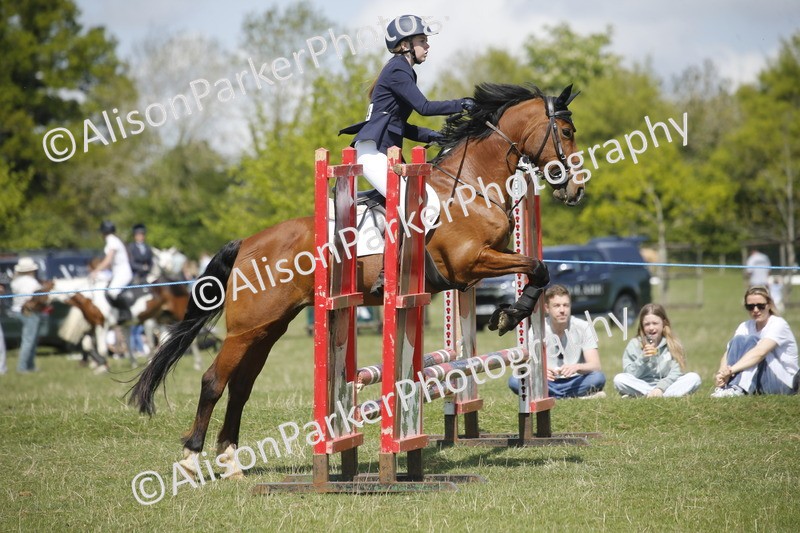 20250427-3510 - Class 14 - Absolute Novice 70cm
