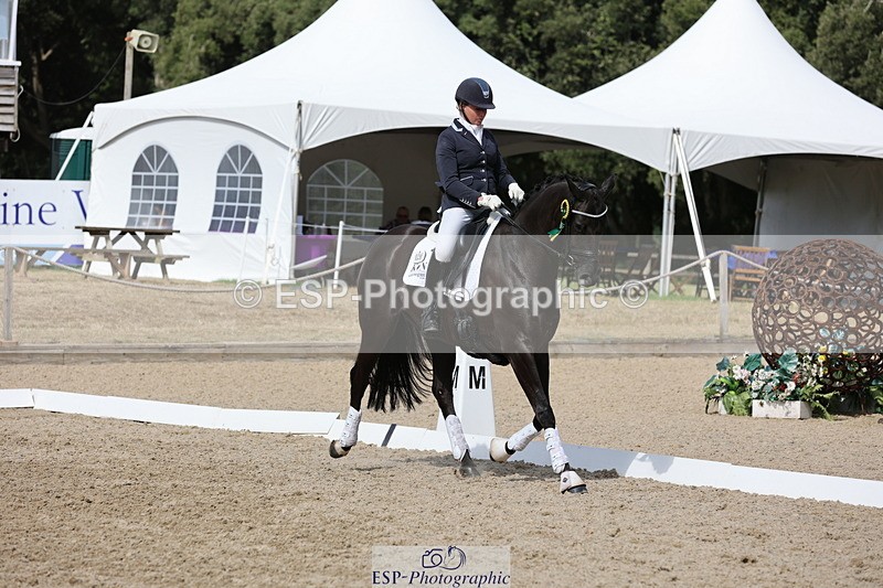 250809A-155933-04716 - Medium GOLD Presentations