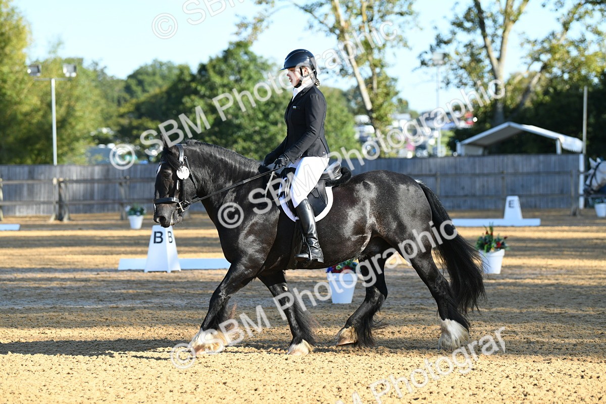 SBM_14510 - D4 - Small Tour Championship - Intro B