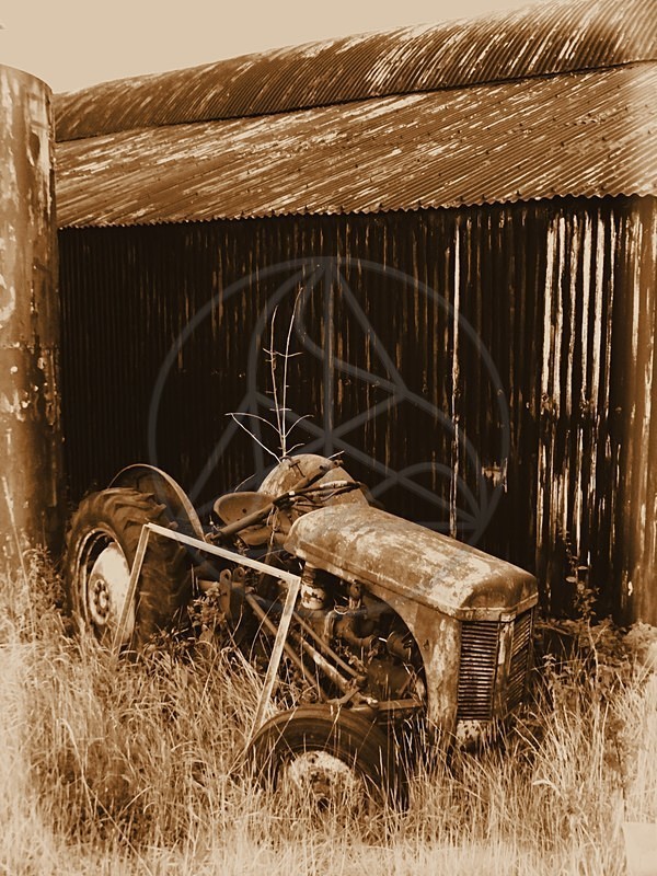 Abandoned - Everything Else