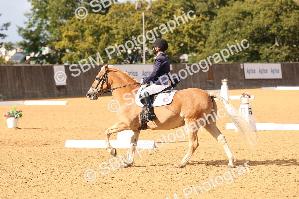 SBM_24629 - D17 - Grand Tour Championship Novice 3