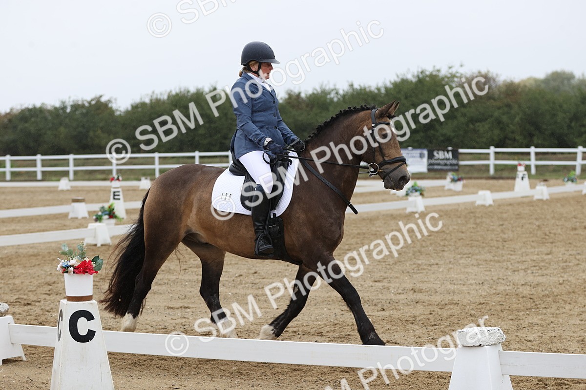 SBM_004443 - Class 9 - Novice 3 Champs
