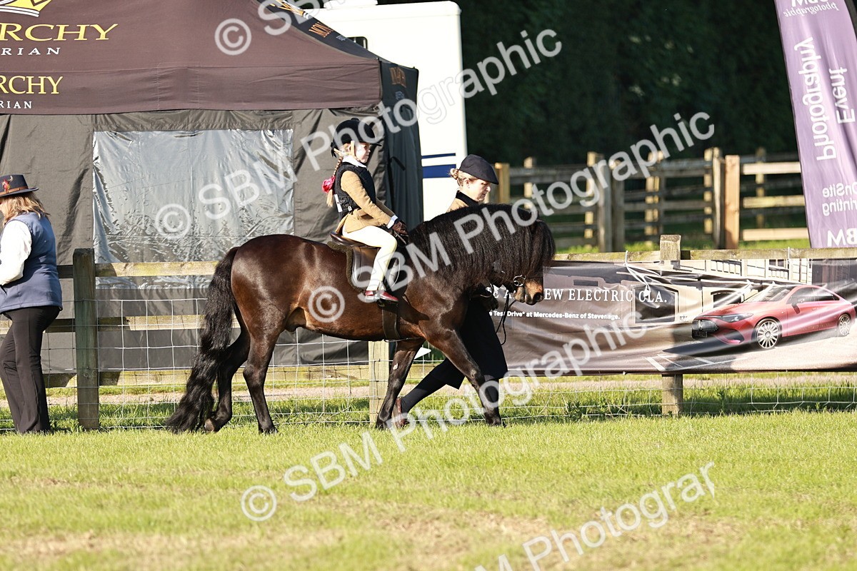 SBM_10990 - Class 106-107 - BSPS LIHS Working Sports Pony