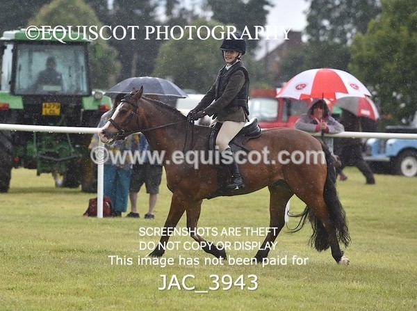 JAC_3943 - 55cm WORKING HUNTER