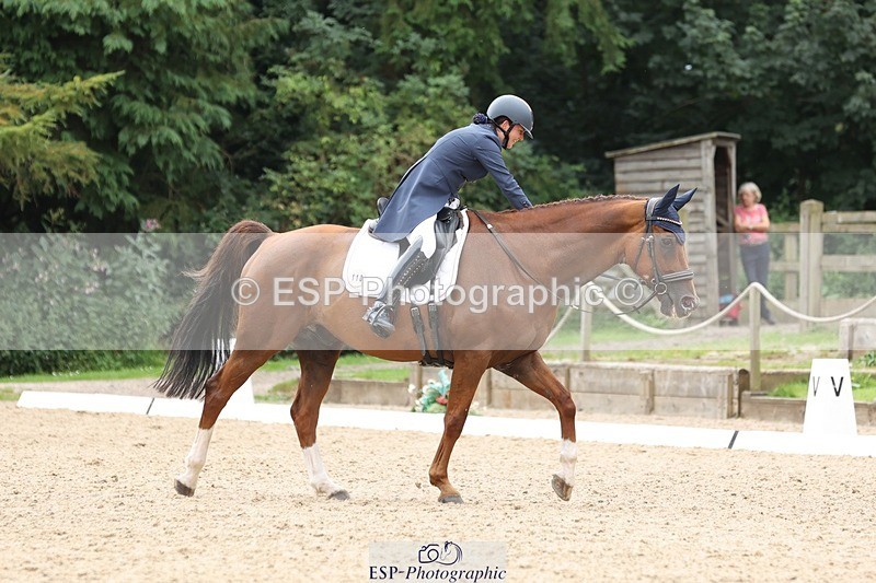 240810-140627-03440 - 110-Helen.Kitto-Da.Vinci.IV