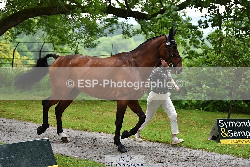 240522-162338-00884 - 204-ZADOK_D-Charlie_Piper