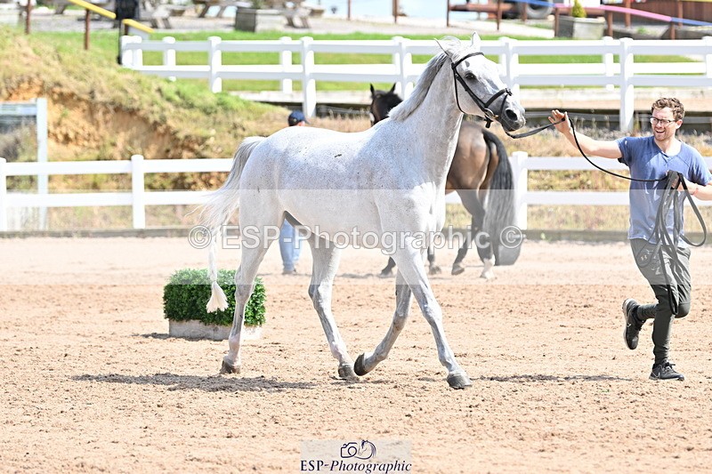 240717A-153859-02941 - Trot Up 3pm to 4pm