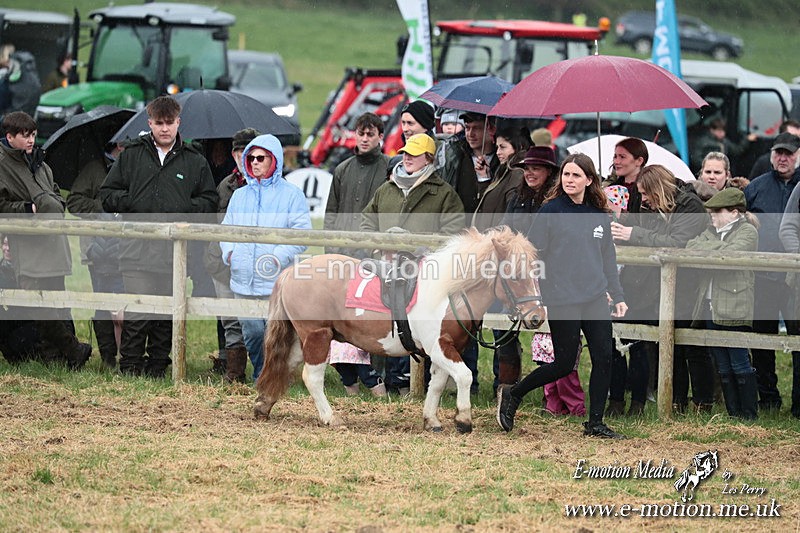 SHETPR 210425 43 - Shetland Ponies Paxford Races 21/04/25