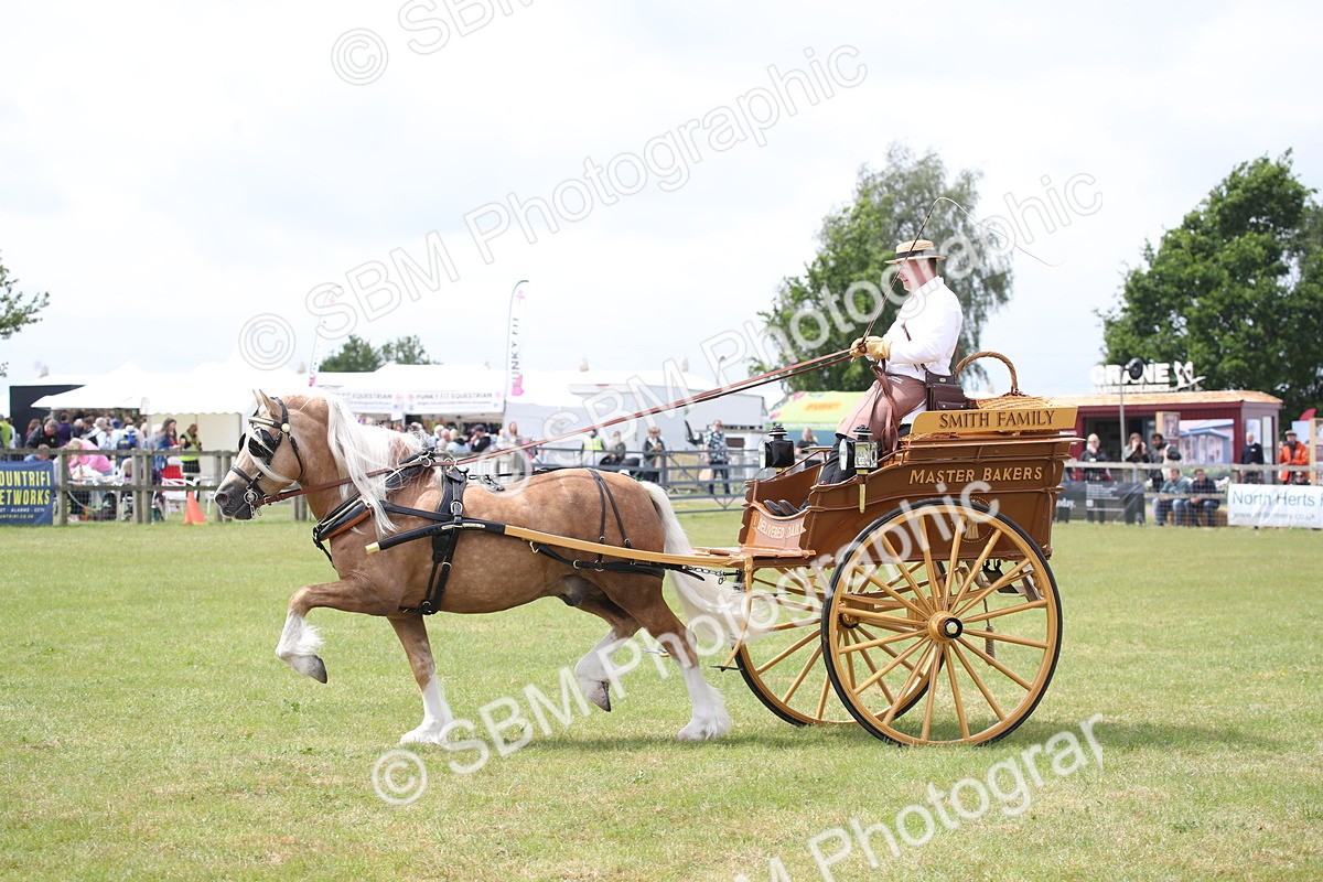 SBM_06989 - Class 16 - Light Trade