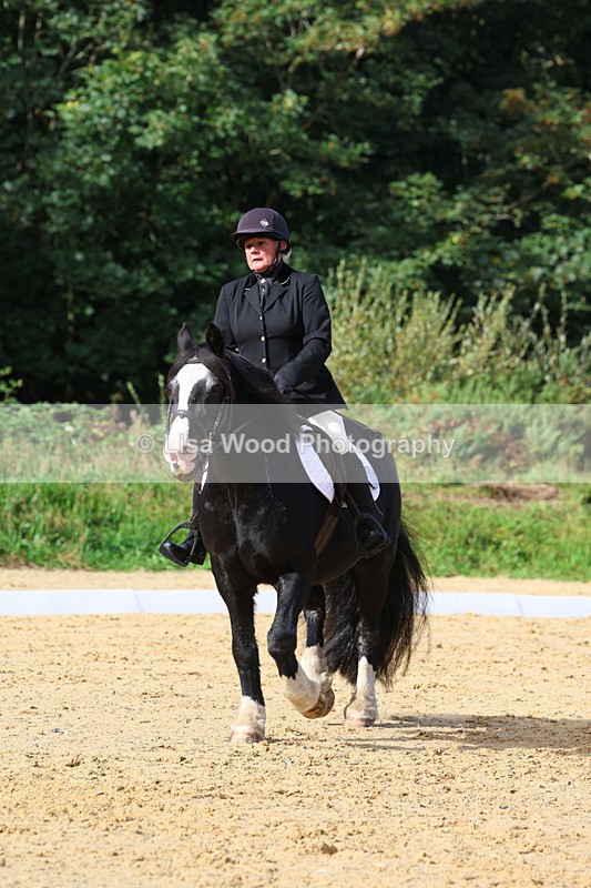 3E7A2347 - Class 1: Intro 4 2024 section A