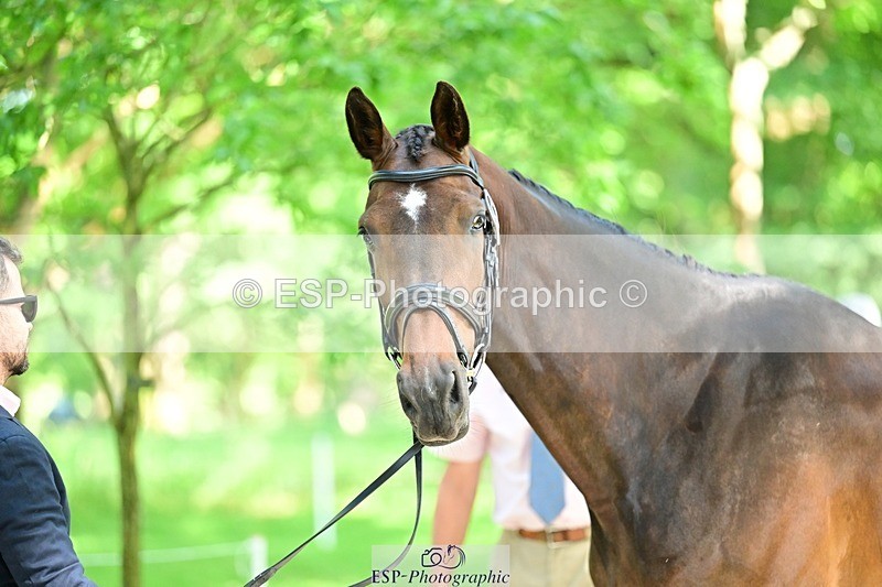 260527A-153121-01246 - C-390-Marcio.Appel