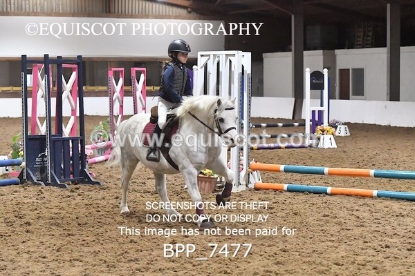 BPP_7477 - 40CM WORKING HUNTER