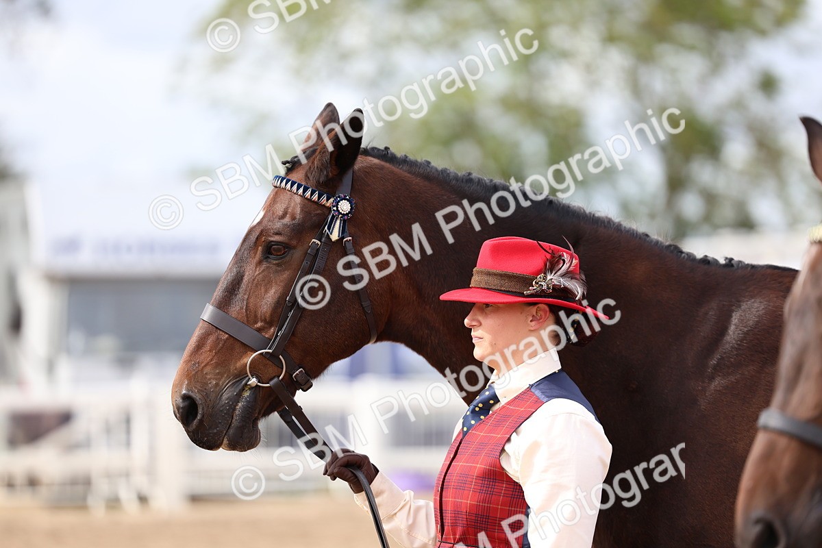 SBM_03963 - Class 25 - IH Foreign Breeds - Pure Bred
