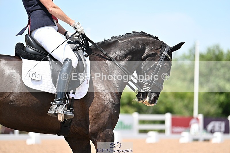 250620-134914-03671 - BD Cls 7 - Elementary 5, Start to 14.40pm