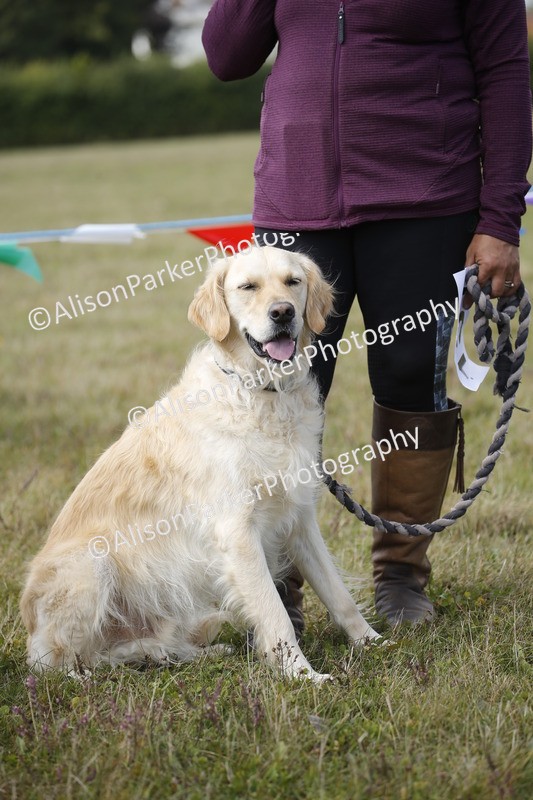 20250831-3640 - Dog Show