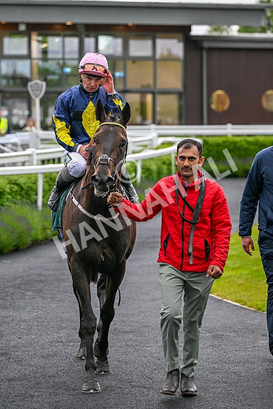110626-Race 2-Two Commanders-4437 - Race 2 18.52pm Bowel Cancer Screening Programme Saves Lives Novice Stakes