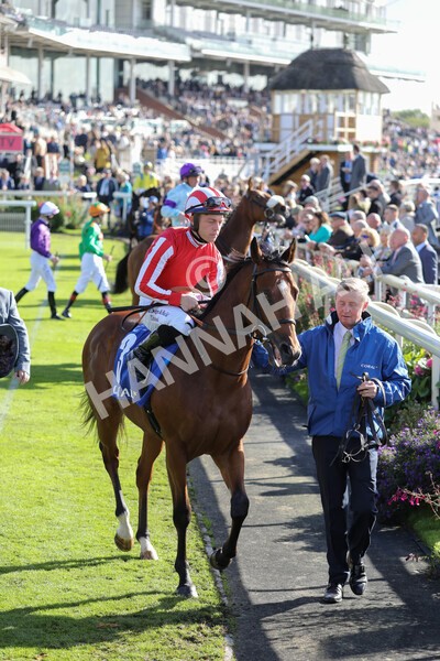 yr08102022r2-14 - Race 2 2.05pm The Coral Rockingham Stakes