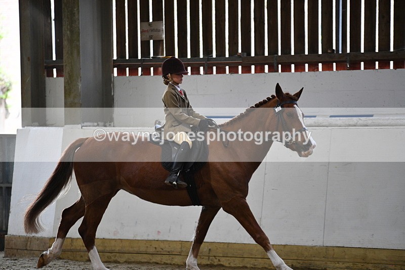 WJ5_6395 - Class 9 Ridden Veteran