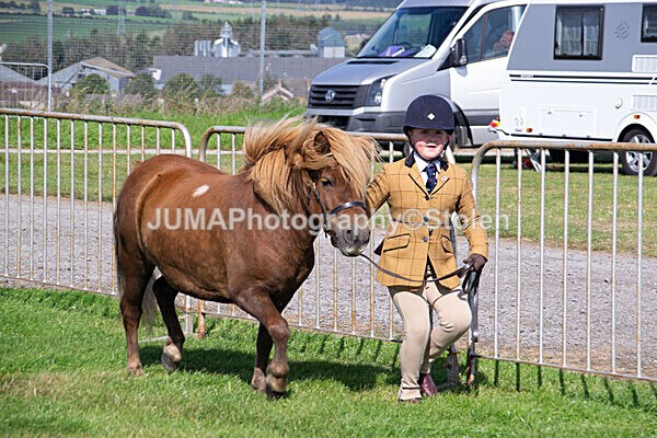 DSC_0275 - Ring 1