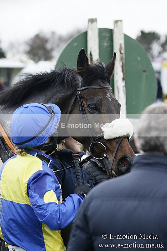 PtP 031217 205 - Hursley Hambledon Point-to-Point Larkhill 03/12/17