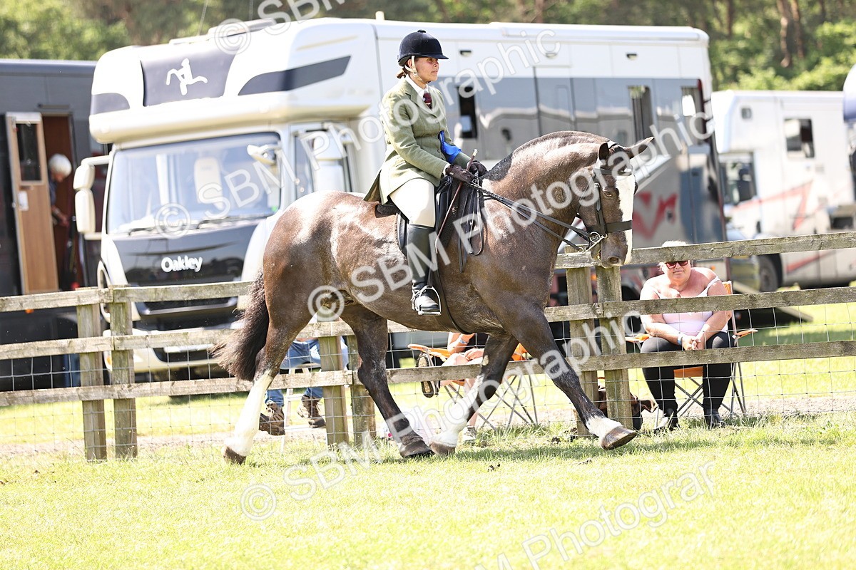 SBM_13848 - Class 77 - LIHS BSHA Rising Star Cobs